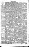Dorking and Leatherhead Advertiser Saturday 07 April 1888 Page 7