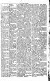 Dorking and Leatherhead Advertiser Saturday 21 April 1888 Page 3