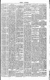 Dorking and Leatherhead Advertiser Saturday 21 April 1888 Page 5