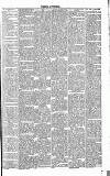 Dorking and Leatherhead Advertiser Saturday 16 June 1888 Page 3
