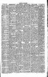 Dorking and Leatherhead Advertiser Saturday 07 July 1888 Page 3