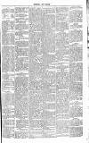 Dorking and Leatherhead Advertiser Saturday 08 September 1888 Page 5