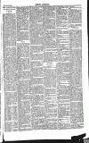 Dorking and Leatherhead Advertiser Saturday 16 February 1889 Page 7