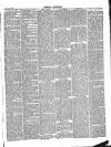 Dorking and Leatherhead Advertiser Saturday 13 April 1889 Page 3