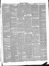 Dorking and Leatherhead Advertiser Saturday 20 April 1889 Page 3