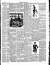 Dorking and Leatherhead Advertiser Saturday 10 January 1891 Page 3