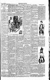 Dorking and Leatherhead Advertiser Saturday 28 February 1891 Page 7