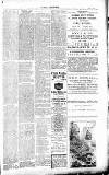 Dorking and Leatherhead Advertiser Thursday 25 May 1893 Page 3