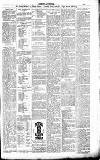 Dorking and Leatherhead Advertiser Thursday 03 August 1893 Page 7
