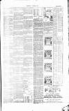 Dorking and Leatherhead Advertiser Thursday 29 March 1894 Page 3