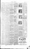 Dorking and Leatherhead Advertiser Thursday 31 May 1894 Page 3
