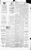Dorking and Leatherhead Advertiser Thursday 09 January 1896 Page 5