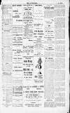 Dorking and Leatherhead Advertiser Thursday 19 March 1896 Page 4