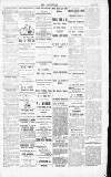 Dorking and Leatherhead Advertiser Thursday 09 July 1896 Page 4