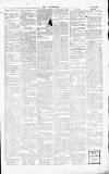 Dorking and Leatherhead Advertiser Thursday 13 August 1896 Page 6