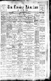 Dorking and Leatherhead Advertiser Saturday 05 January 1901 Page 1
