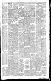 Dorking and Leatherhead Advertiser Saturday 19 January 1901 Page 5