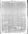 Dorking and Leatherhead Advertiser Saturday 23 February 1901 Page 5