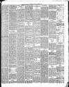 Dorking and Leatherhead Advertiser Saturday 02 September 1905 Page 5