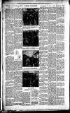 Dorking and Leatherhead Advertiser Saturday 01 January 1916 Page 6