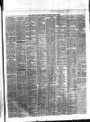 Ulster Gazette Saturday 13 March 1875 Page 3