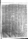 Ulster Gazette Saturday 24 April 1875 Page 3