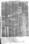 Ulster Gazette Saturday 04 September 1875 Page 3