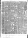 Ulster Gazette Saturday 29 January 1876 Page 3