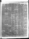 Ulster Gazette Saturday 03 February 1877 Page 3