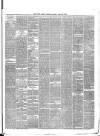 Ulster Gazette Saturday 27 March 1880 Page 3