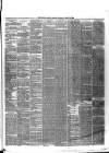 Ulster Gazette Saturday 10 April 1880 Page 3