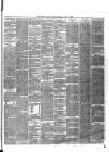 Ulster Gazette Saturday 17 April 1880 Page 3