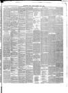 Ulster Gazette Saturday 31 July 1880 Page 3