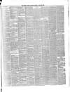 Ulster Gazette Saturday 23 April 1881 Page 3