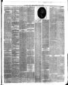 Ulster Gazette Saturday 24 April 1886 Page 3