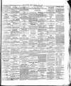 Cork Advertising Gazette Wednesday 30 June 1858 Page 3