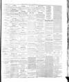 Cork Advertising Gazette Wednesday 07 July 1858 Page 3