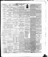 Cork Advertising Gazette Wednesday 28 July 1858 Page 3