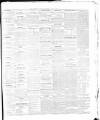 Cork Advertising Gazette Wednesday 18 August 1858 Page 3