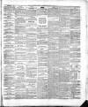 Cork Advertising Gazette Wednesday 24 November 1858 Page 3