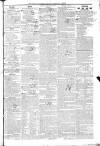 Southern Reporter and Cork Commercial Courier Tuesday 15 January 1828 Page 3