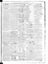 Southern Reporter and Cork Commercial Courier Thursday 11 July 1833 Page 3