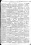 Southern Reporter and Cork Commercial Courier Thursday 17 October 1833 Page 3