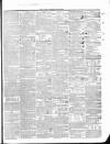 Southern Reporter and Cork Commercial Courier Thursday 17 January 1839 Page 3