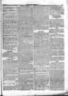 Dublin Observer Saturday 13 October 1832 Page 5