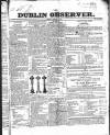 Dublin Observer