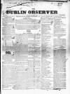 Dublin Observer