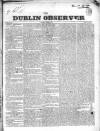 Dublin Observer