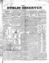 Dublin Observer