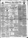 Skibbereen & West Carbery Eagle; or, South Western Advertiser Saturday 04 October 1862 Page 1